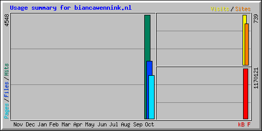Usage summary for biancawennink.nl